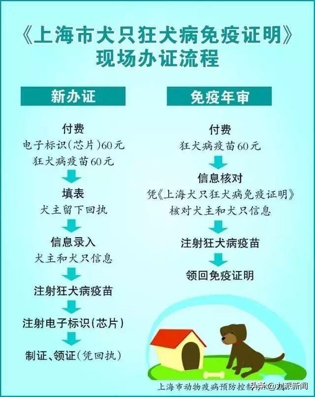 女子消费近万元买到病狗涉事宠物店曾被曝销售星期宠宠物店：生病谁也掌控不了