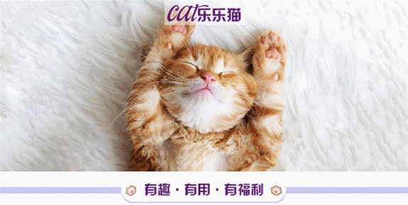 猫咪撒起娇来！这谁能顶得住啊