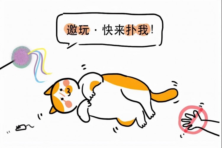 逗猫棒怎么选怎样和猫咪开心快乐地玩耍